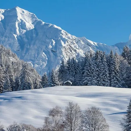 Haus Am Teich - Relax Mit Bergbahn Unlimited *