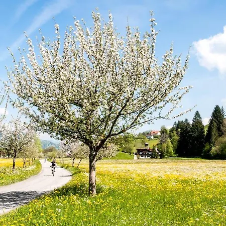 Haus Am Teich - Relax Mit Bergbahn Unlimited